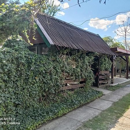 Olga Vendégház Abádszalók Exterior foto